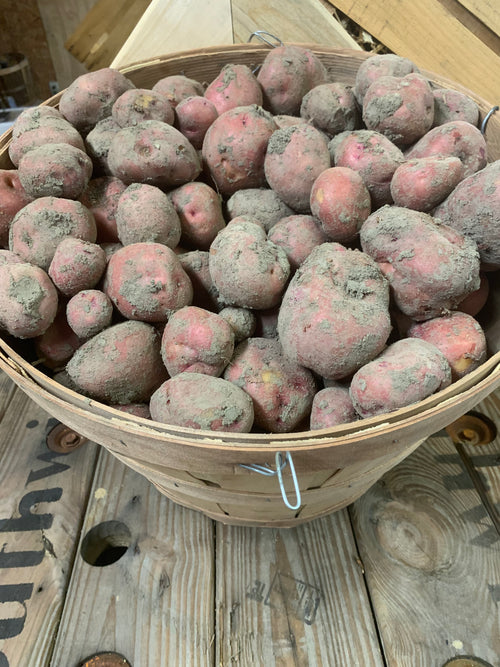 Red potatoes