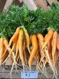 Carrot bunch