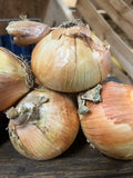 Yellow sweet onion