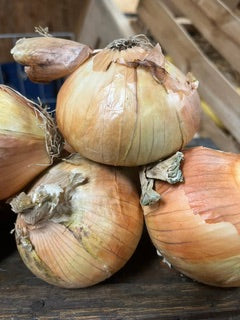 Yellow sweet onion